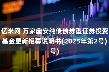 亿米网 万家鑫安纯债债券型证券投资基金更新招募说明书(2025年第2号)